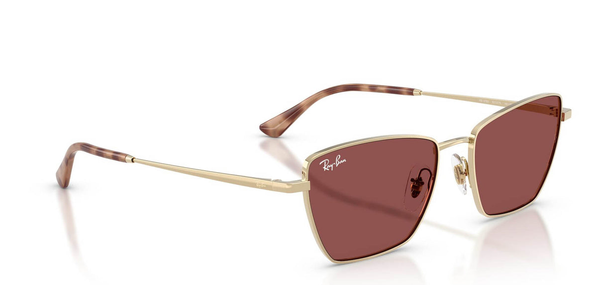 Ray-Ban RB3783