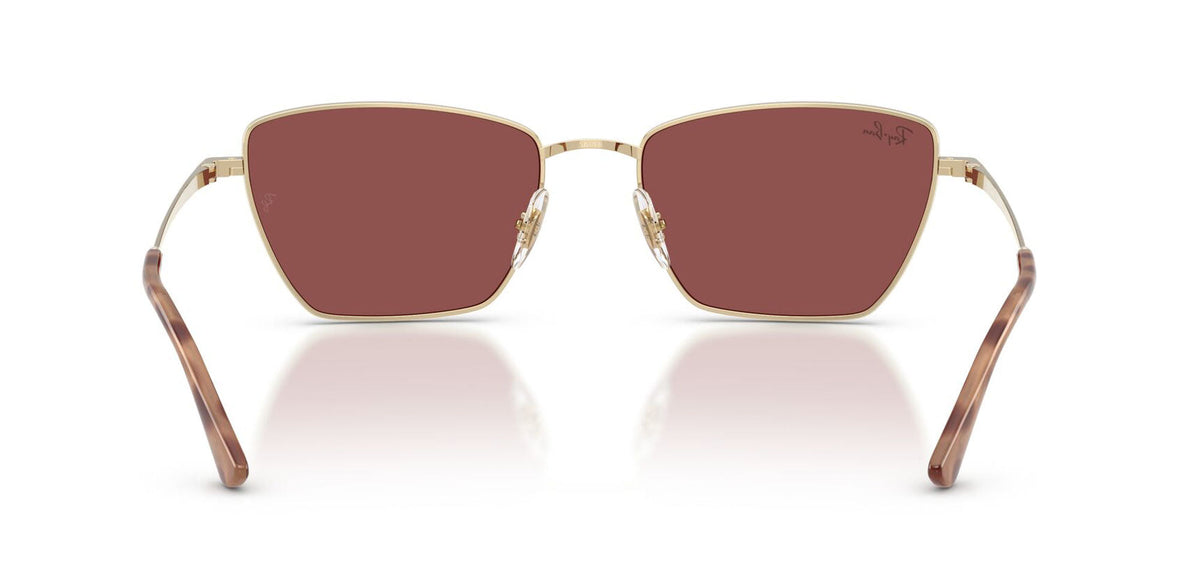 Ray-Ban RB3783