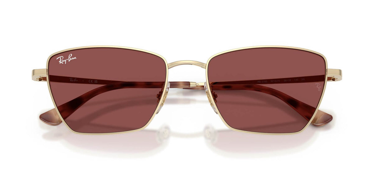Ray-Ban RB3783