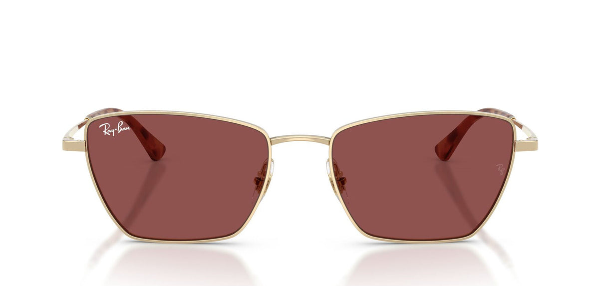 Ray-Ban RB3783