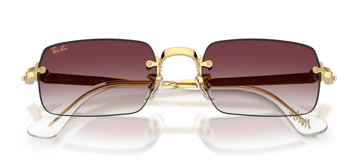 Ray-Ban RB3928