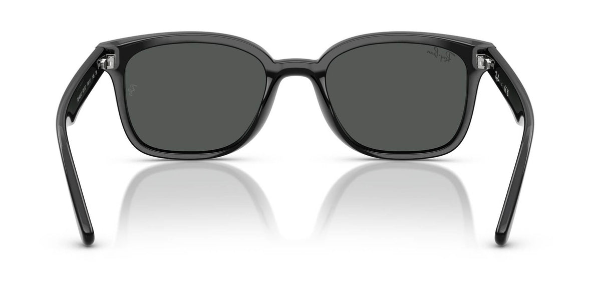 Ray-Ban RB4461D