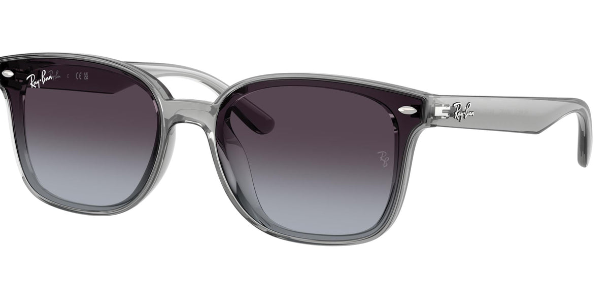 Ray-Ban RB4461D
