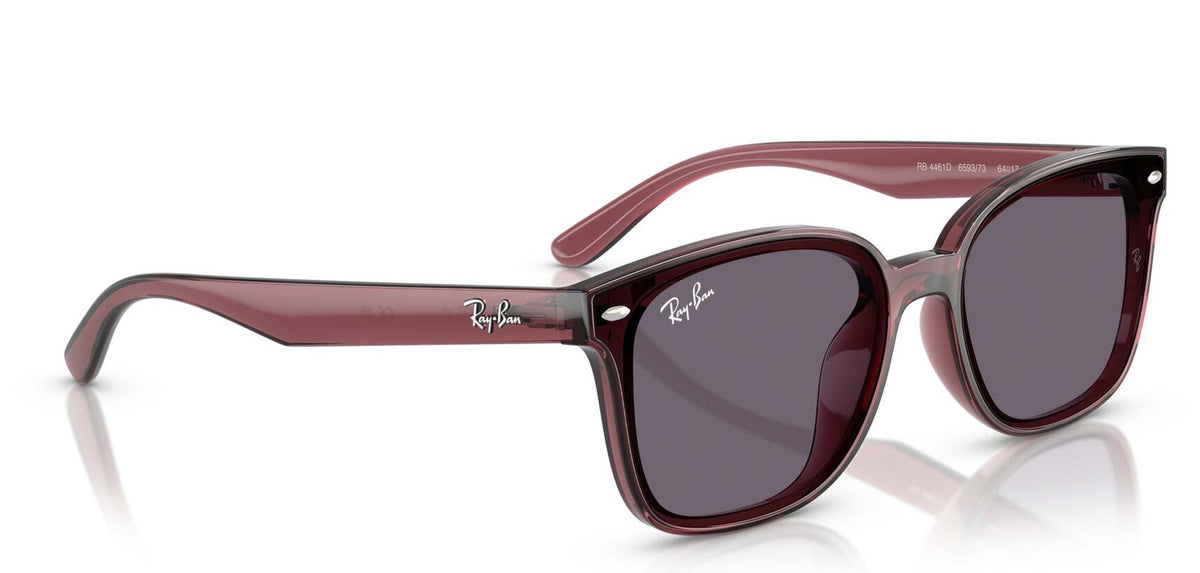 Ray-Ban RB4461D