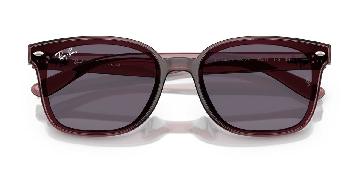 Ray-Ban RB4461D