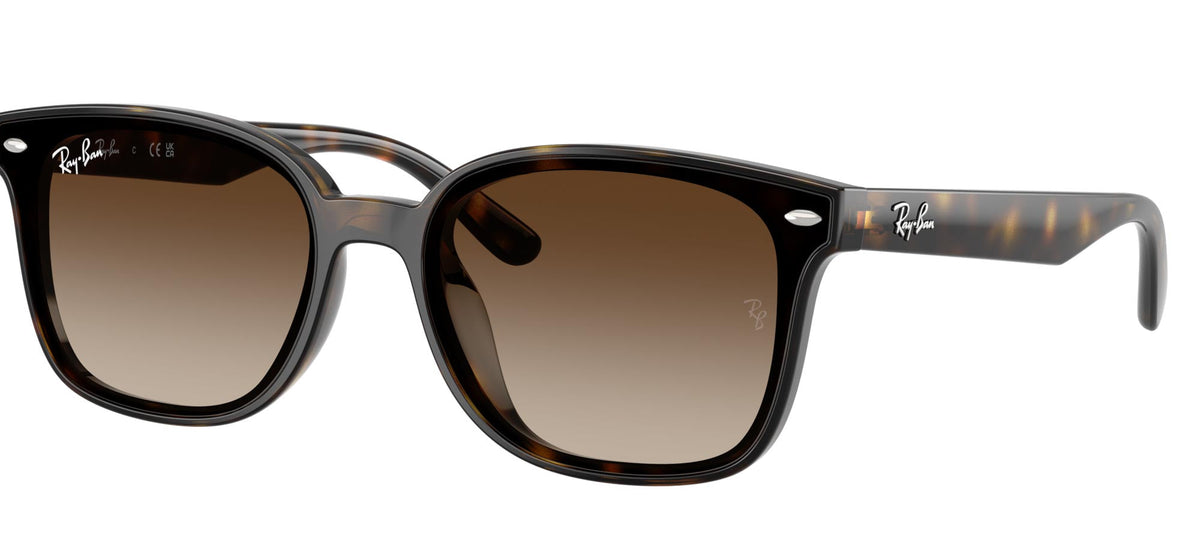 Ray-Ban RB4461D