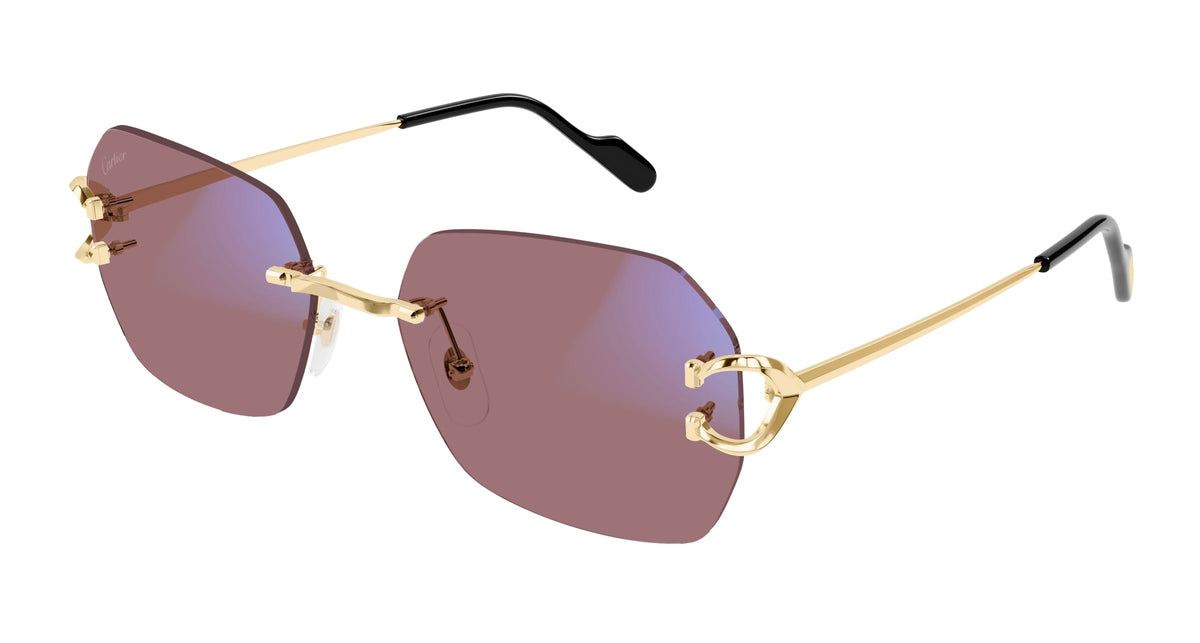 Cartier CT0416S