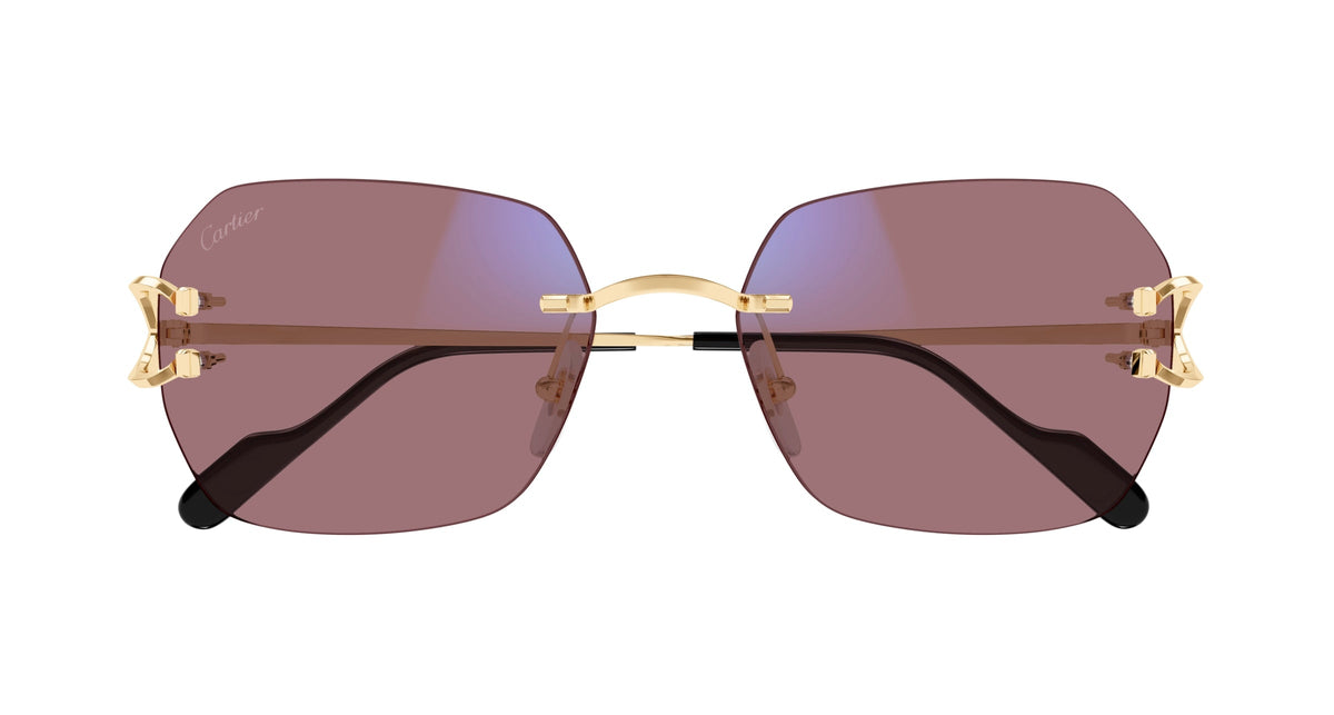 Cartier CT0416S