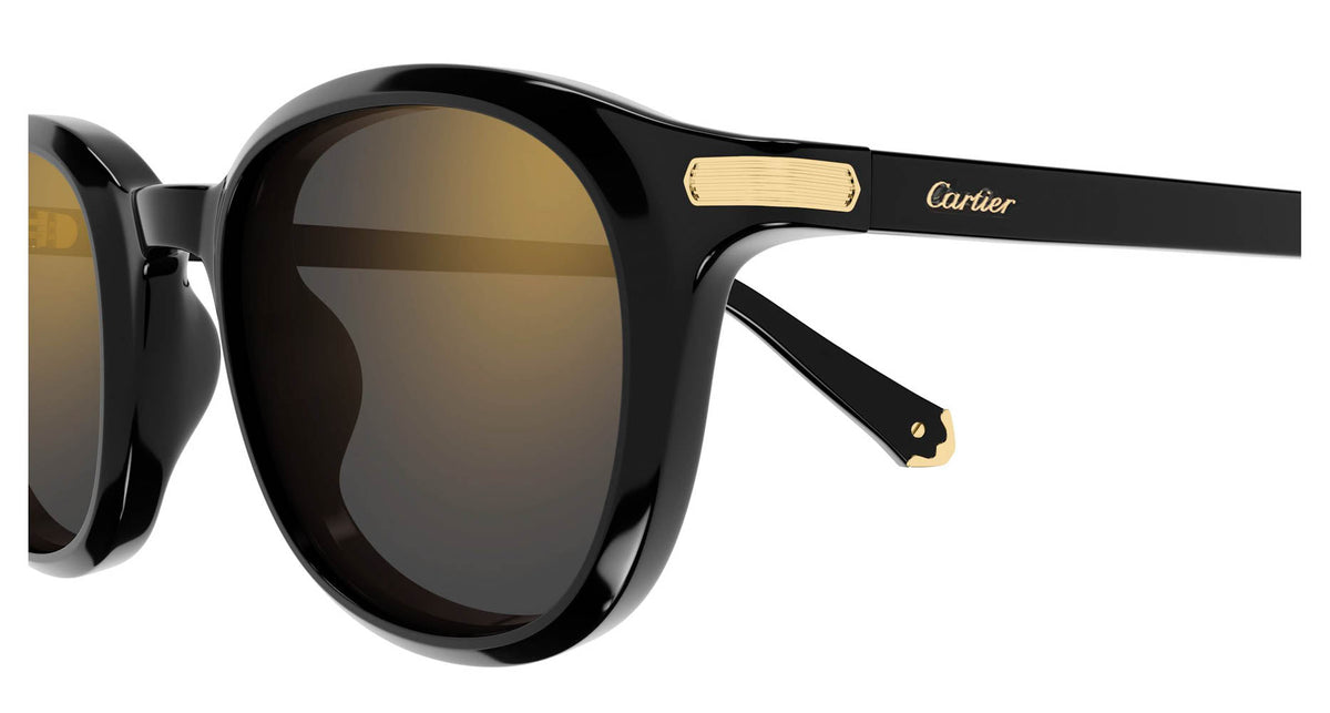 Cartier CT0584S