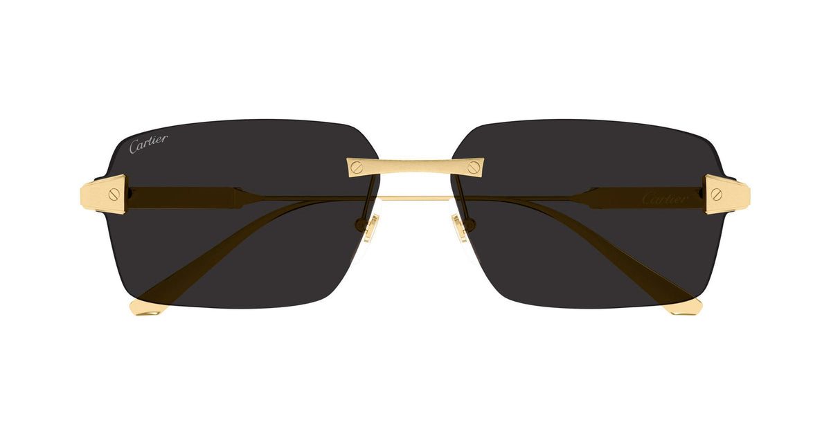Cartier CT0652S