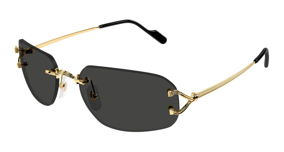 Cartier CT0663S
