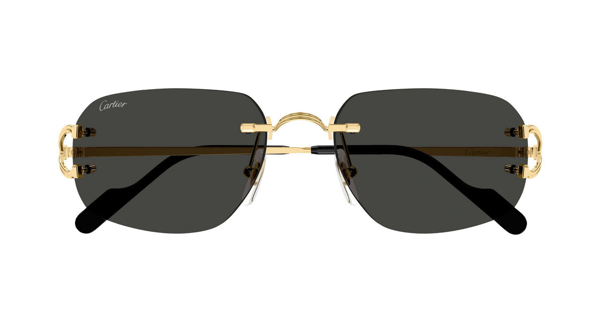 Cartier CT0663S