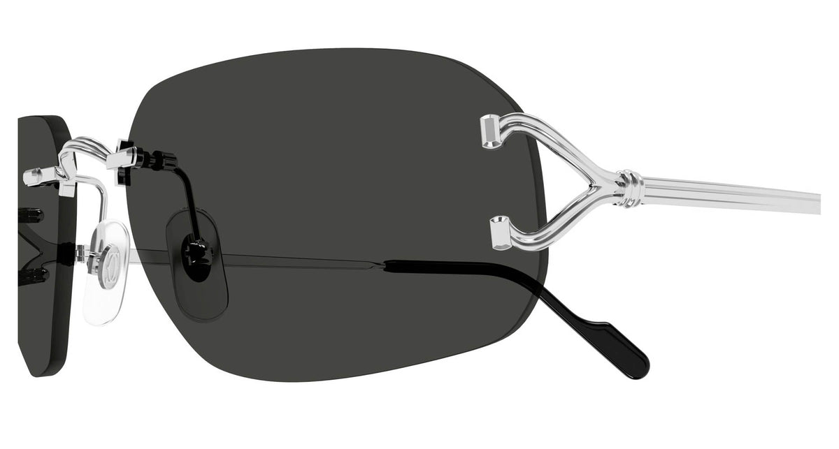 Cartier CT0663S