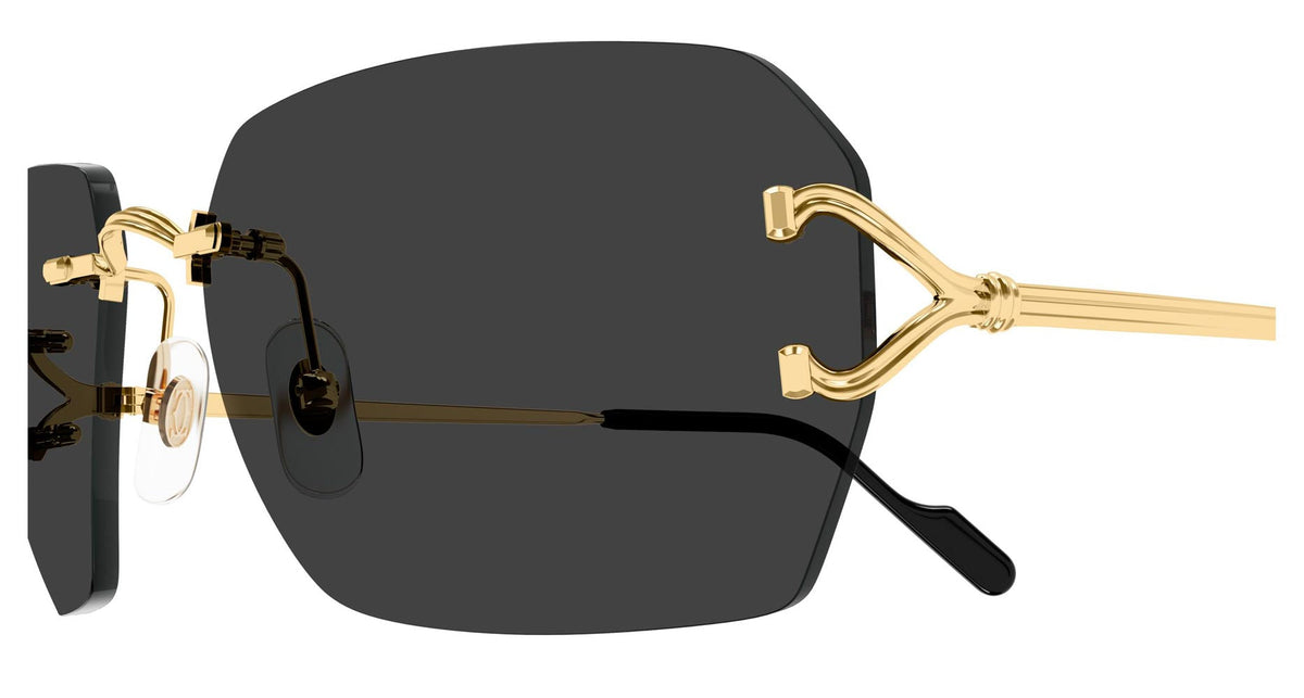 Cartier CT0664S