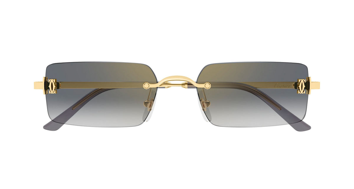 Cartier CT0672S