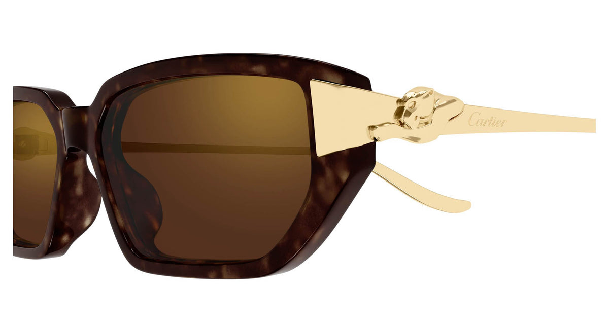 Cartier CT0674S