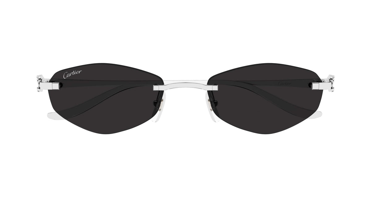Cartier CT0675S