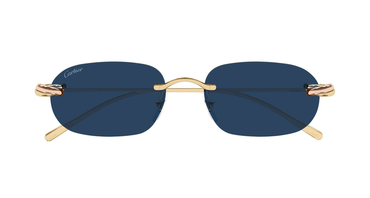 Cartier CT0686S