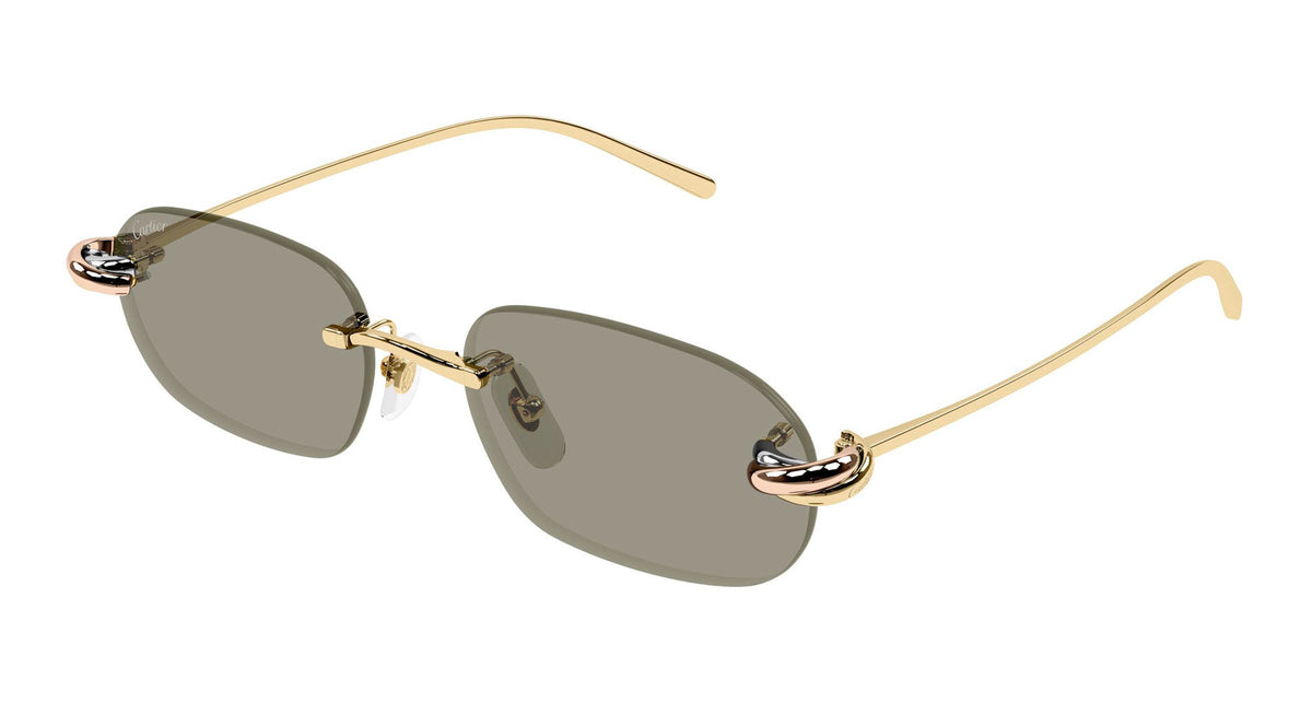 Cartier CT0686S