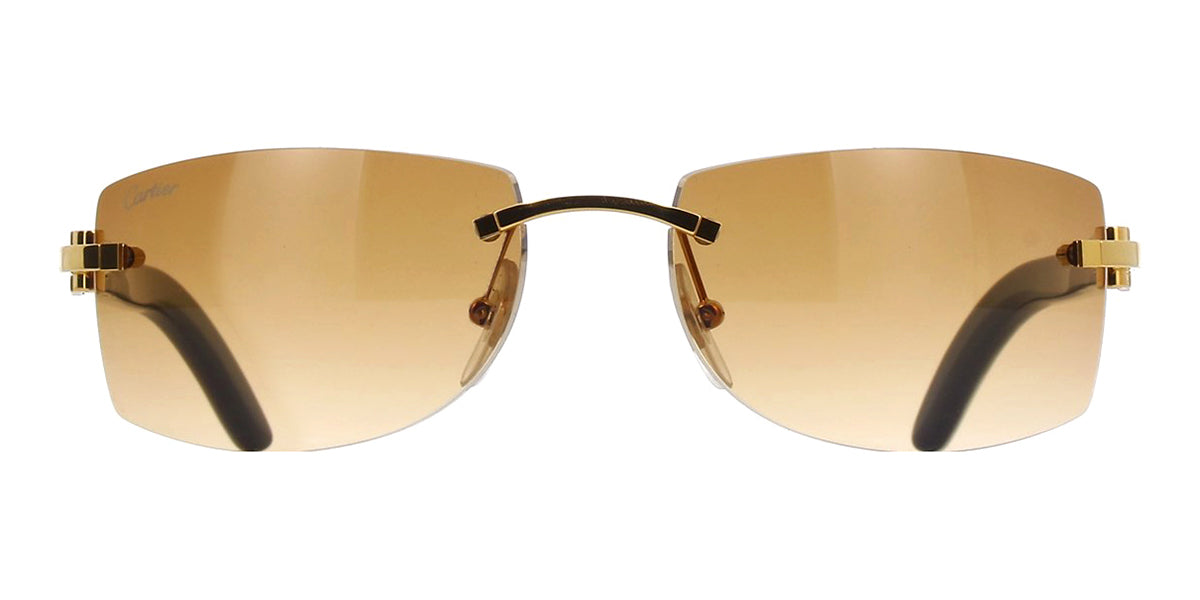 Cartier CT0017RS