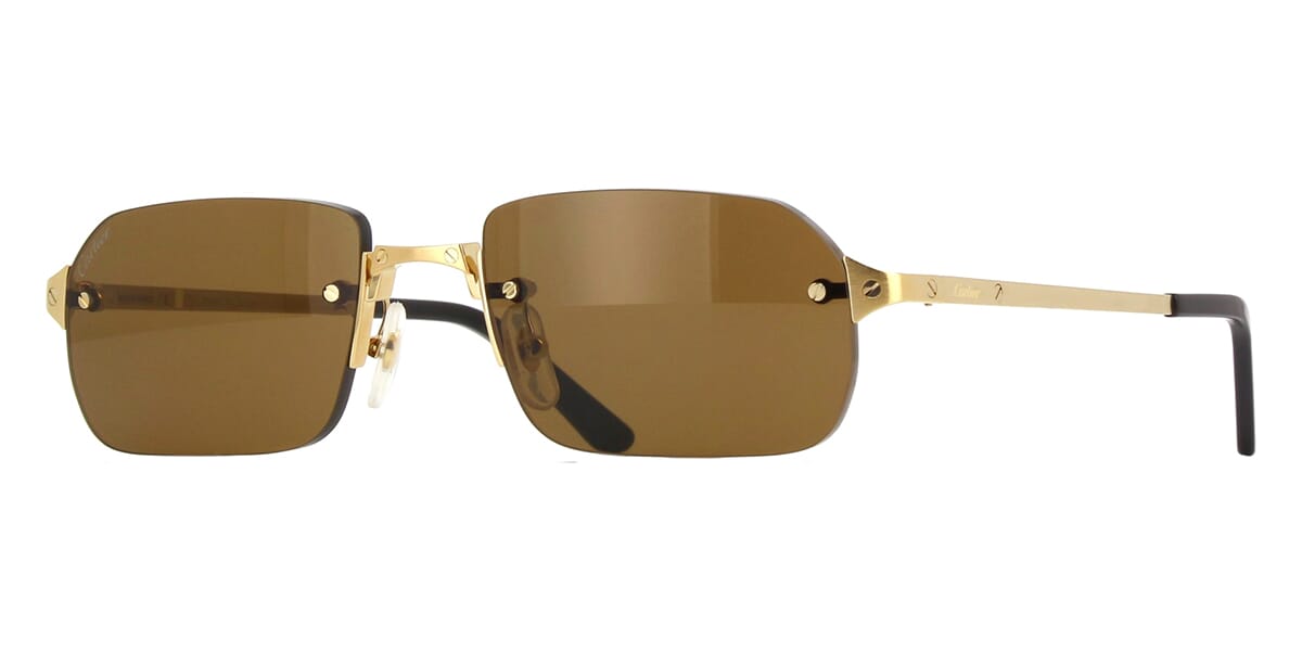 Cartier CT0460S