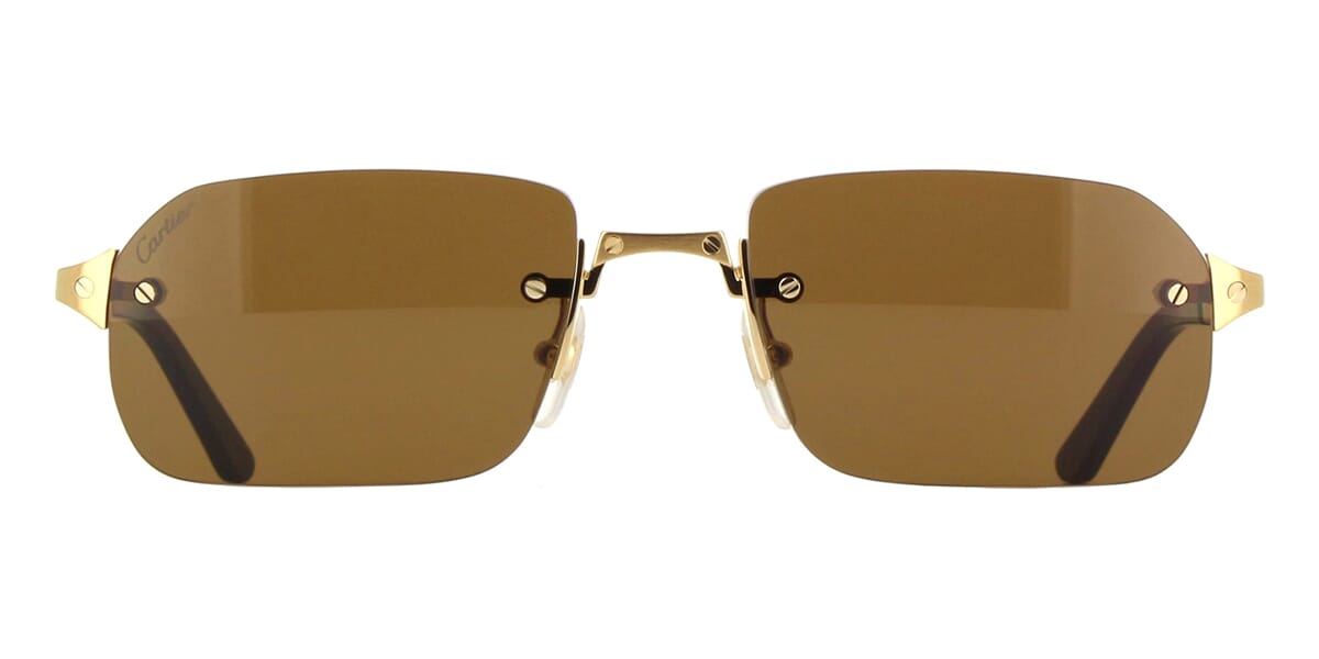 Cartier CT0460S