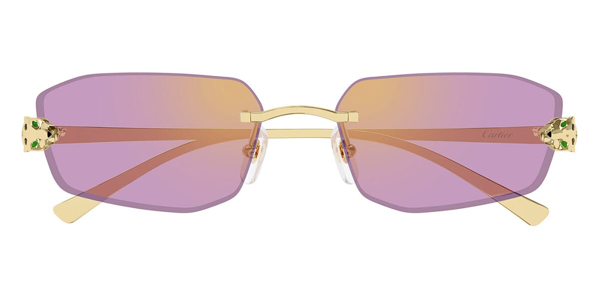 Cartier CT0474S