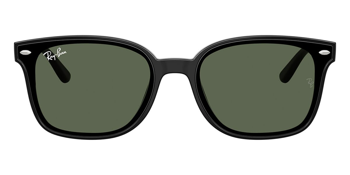 Ray-Ban RB4461D