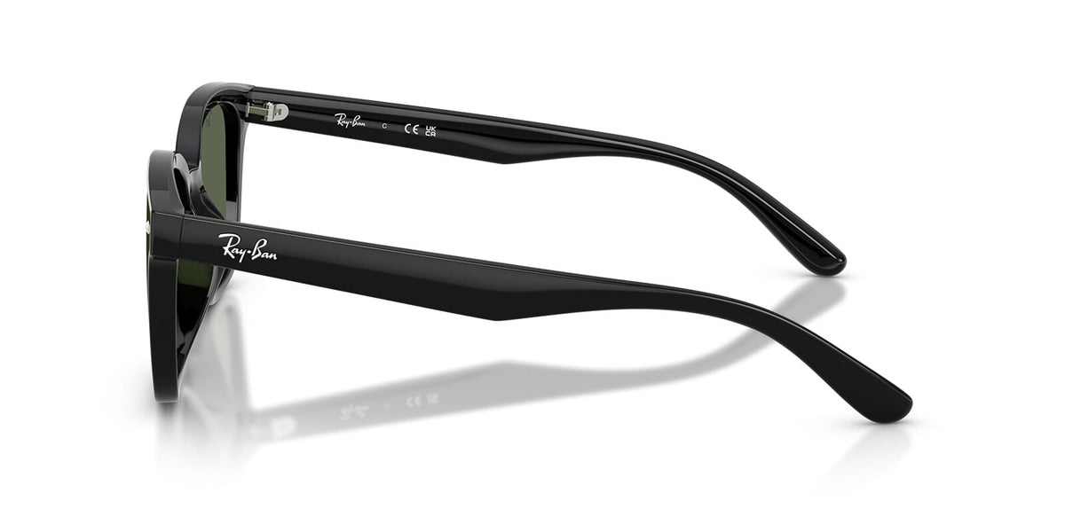 Ray-Ban RB4461D