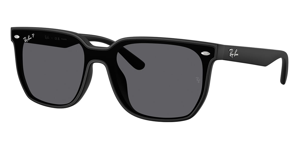 Ray-Ban RB4466D