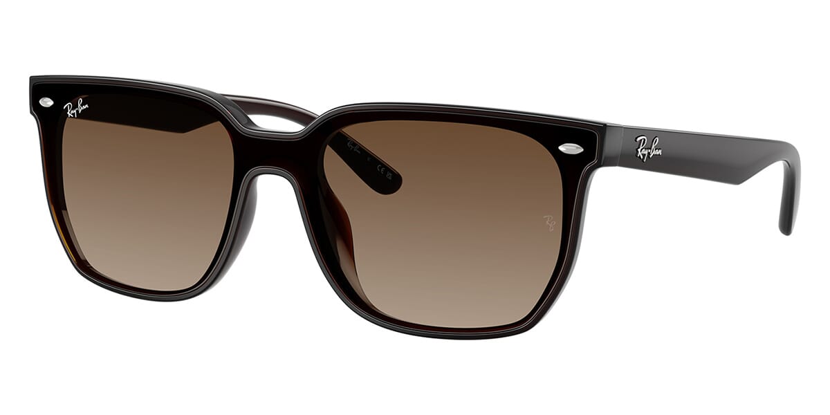 Ray-Ban RB4466D