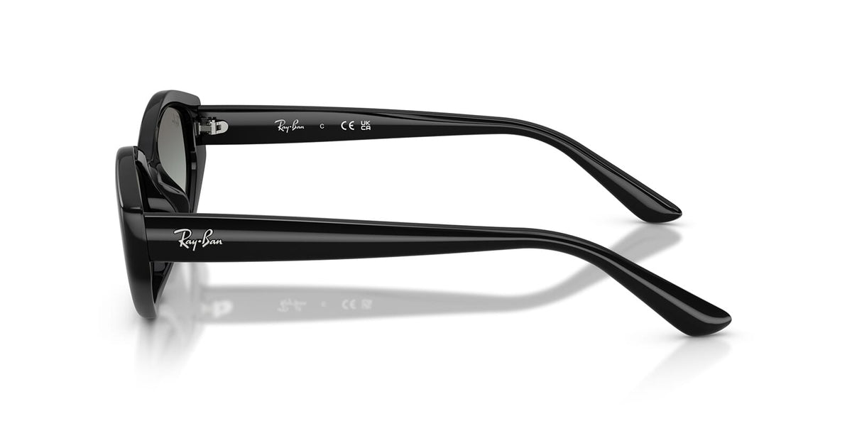 Ray-Ban RB4473D