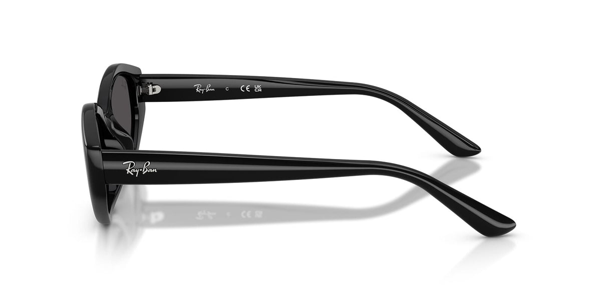 Ray-Ban RB4473D