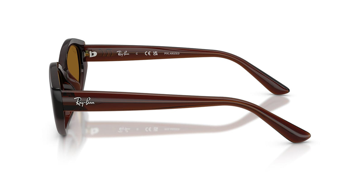 Ray-Ban RB4473D