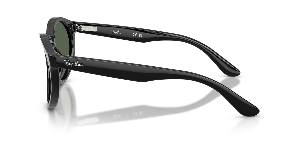 Ray-Ban RBR0505S