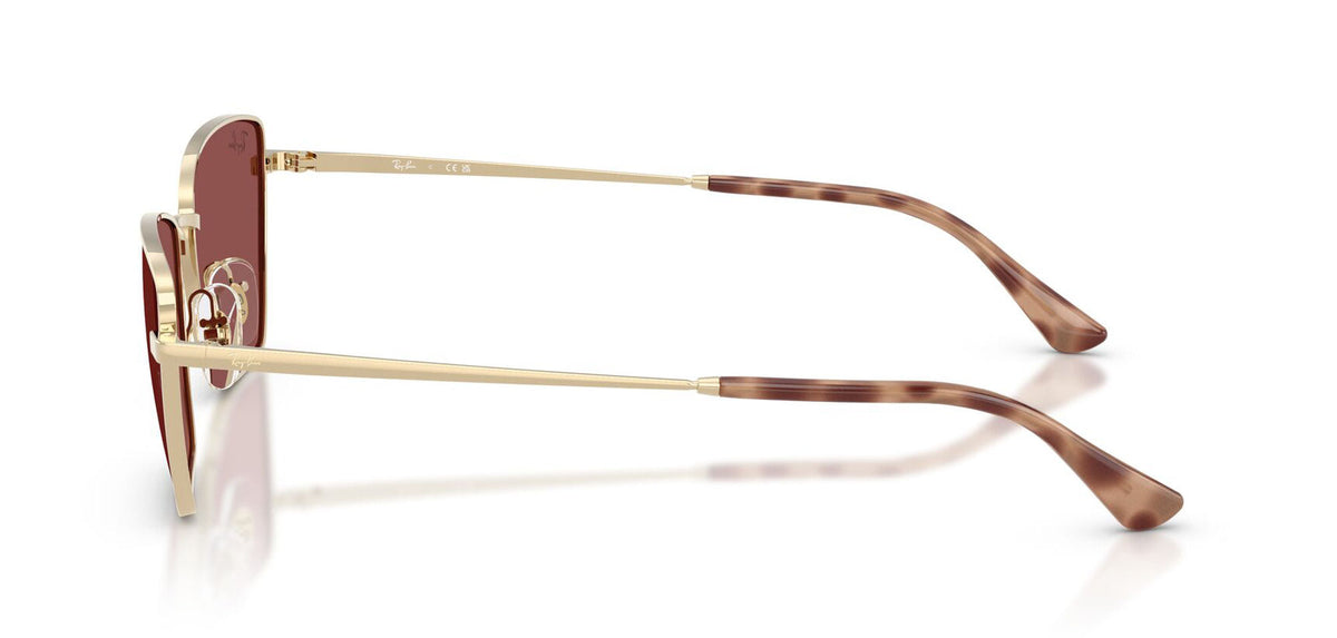 Ray-Ban RB3783