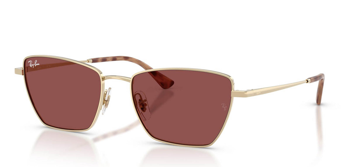 Ray-Ban RB3783