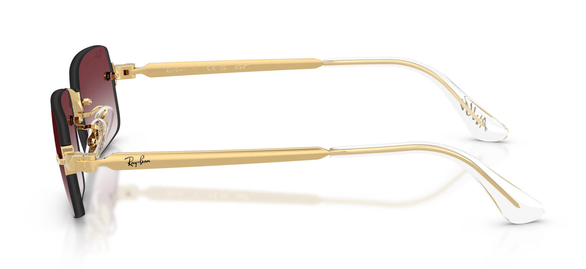Ray-Ban RB3928