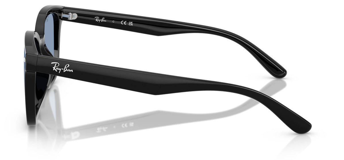 Ray-Ban RB4461D