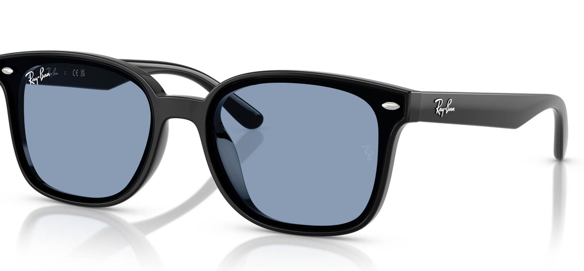 Ray-Ban RB4461D