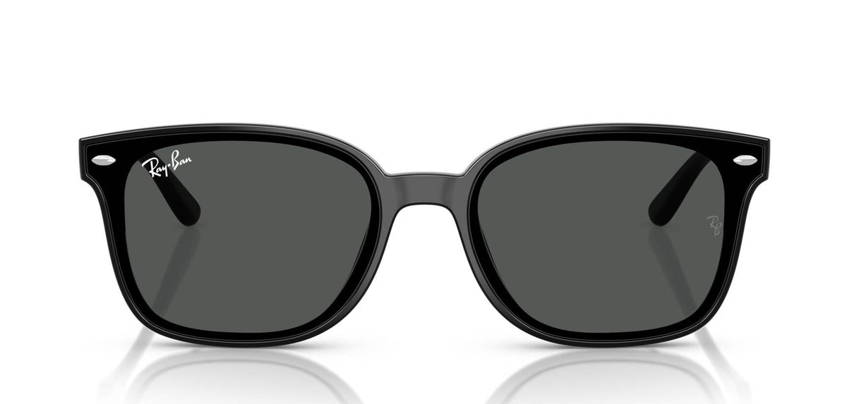 Ray-Ban RB4461D