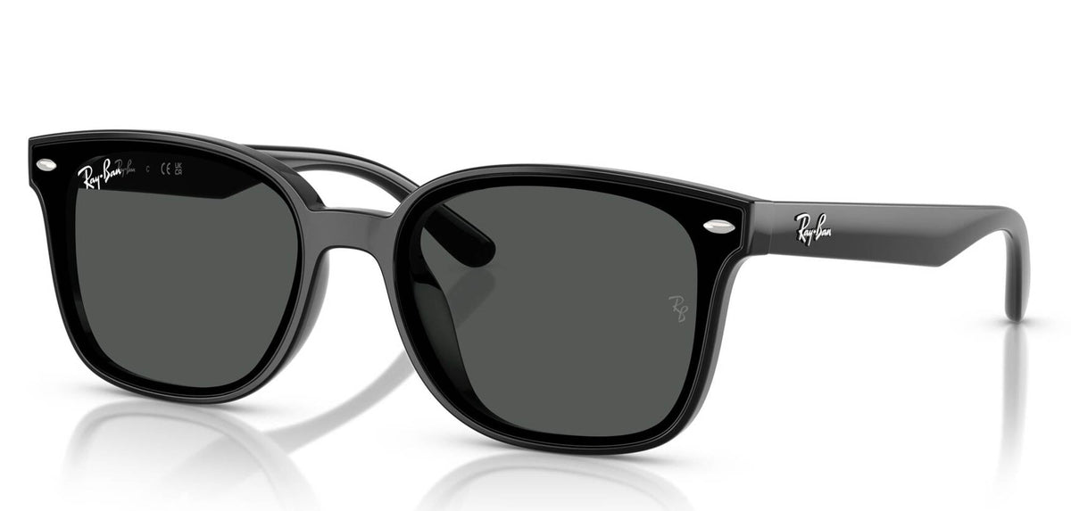 Ray-Ban RB4461D