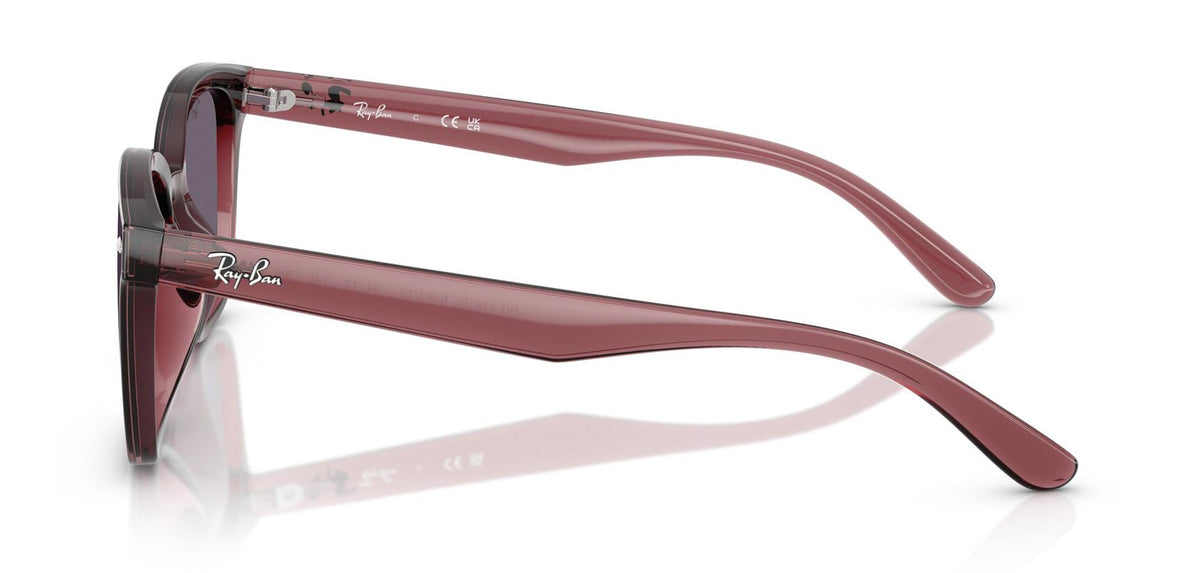 Ray-Ban RB4461D