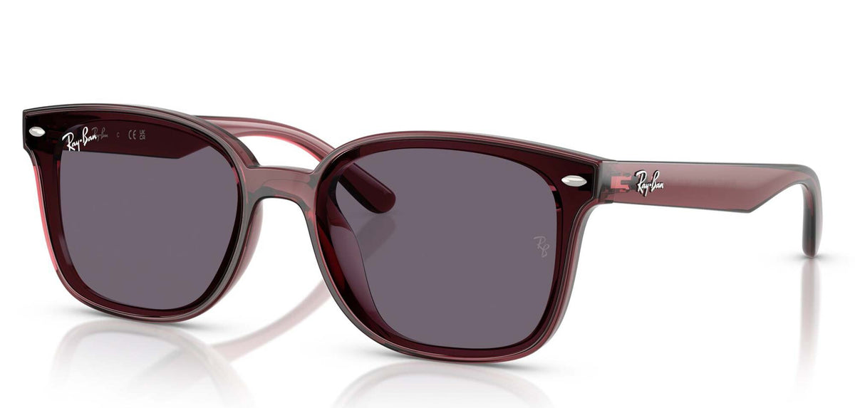 Ray-Ban RB4461D