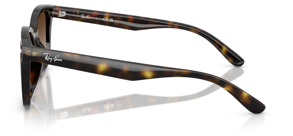 Ray-Ban RB4461D