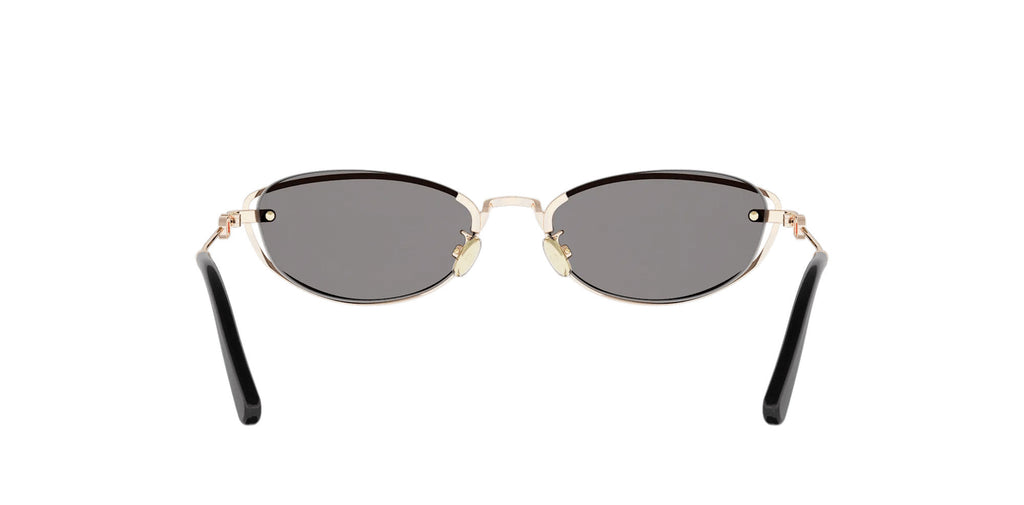 Dior Petit CD B1U