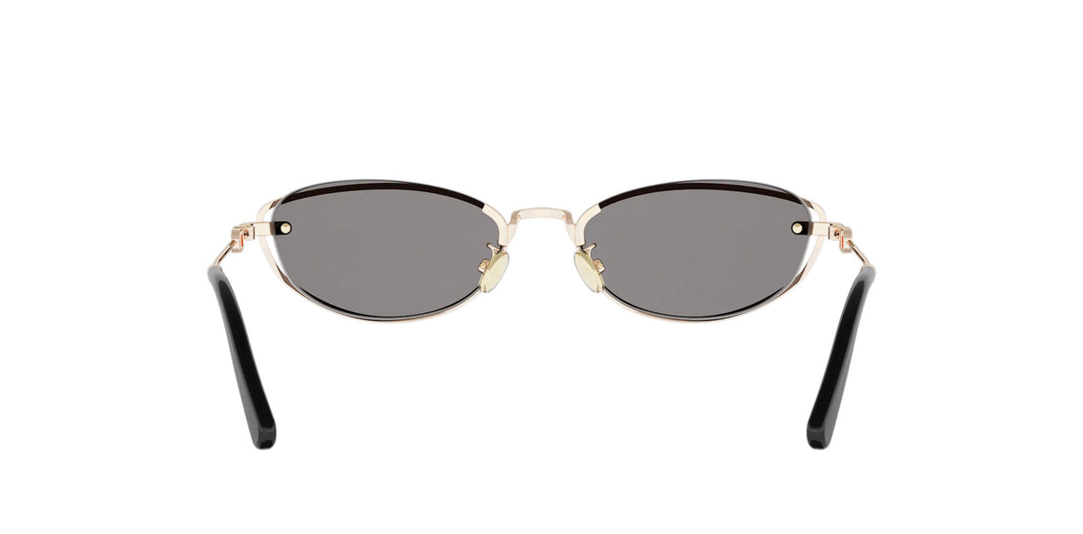Dior Petit CD B1U