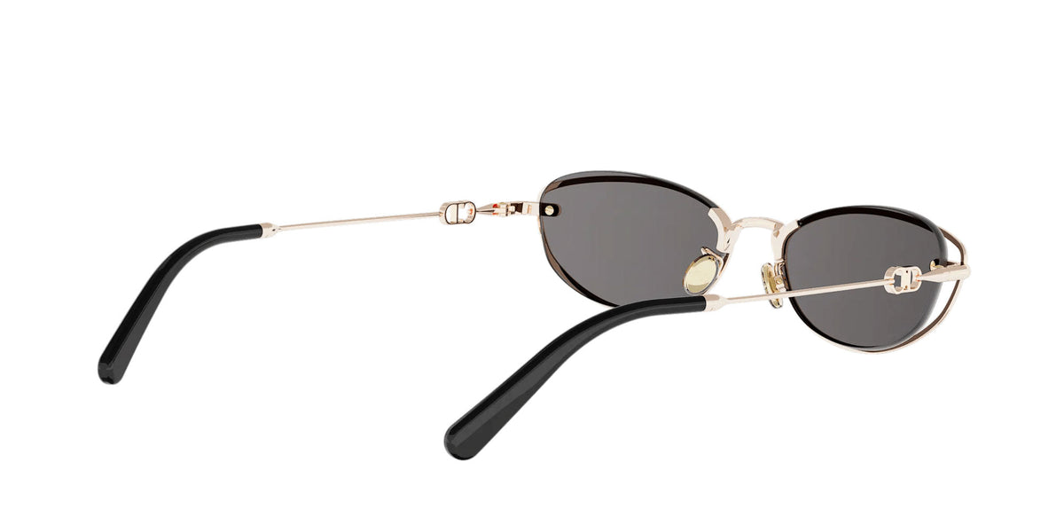 Dior Petit CD B1U
