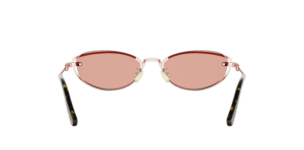 Dior Petit CD B1U
