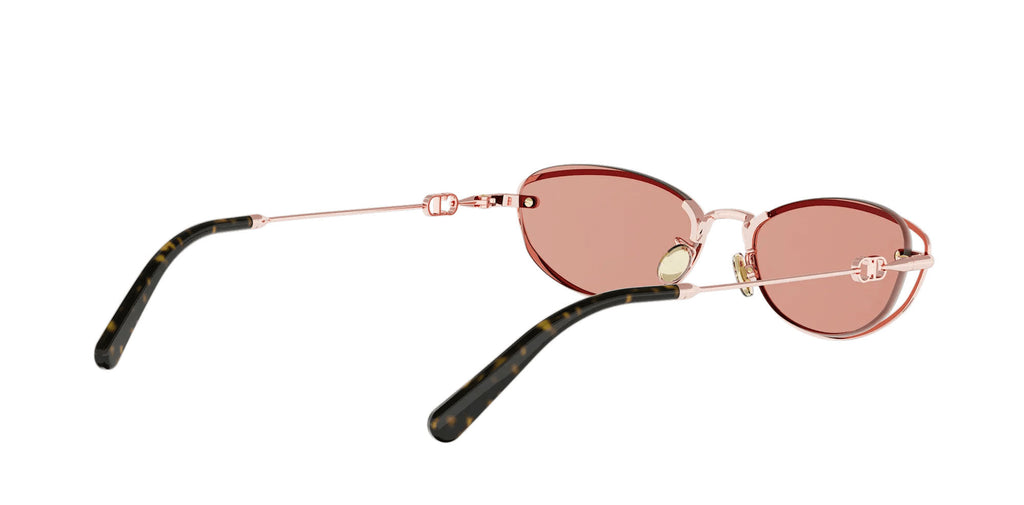 Dior Petit CD B1U